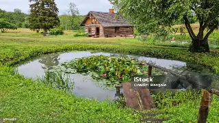 桑拿文化意义：南昌桑拿背后的历史、传承与社会价值 poster
