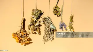 告别盲按！按摩老司机私藏：工具加持，解锁你不知道的全身舒爽技巧！