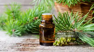 别只知道舒服！揭秘南昌按摩的文化密码：千年传承的身心对话