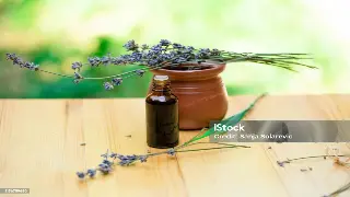 穿越千年，触摸南昌按摩养生的文化脉搏：不止是放松，更是历史的对话