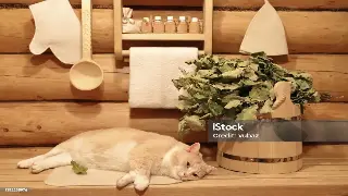 南昌按摩：触摸古韵，触动心灵的文化传承 poster