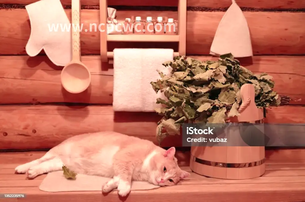 南昌老字号按摩店